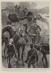 A Camel Convoy with Ammunition and Stores on the Road to Akasheh